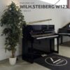 Un piano droit noir Wilh. Steinberg W123 se trouve dans un coin, à côté d'une plante en pot, sur un tapis noir.