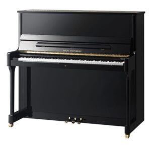 Piano droit noir élégant, marque Will Steingraber, touches blanches et noires, finition brillante, idéal pour salon ou studio.
