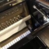 Intérieur d'un piano Steinberg, montrant les marteaux et cordes avec une finition noire brillante, éclairage tamisé.