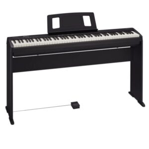 Roland FP-10 Bundle
