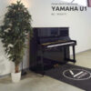 Piano droit d'occasion Yamaha U1 noir brillant avec un tapis noir et une plante verte, idéal pour un studio de musique.