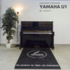 Piano droit Yamaha U1 d'occasion, série 4933077, chez Amadeus, avec tapis et plante, au service de tous les pianistes.
