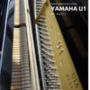 Vue rapprochée d'un piano droit Yamaha U1 d'occasion, montrant les marteaux et les mécaniques internes. Numéro de série 4933077.