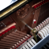 yamaha u1 occasion