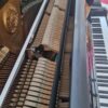 kawai bl61 occasion