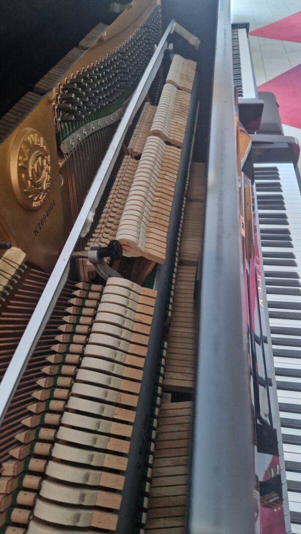 kawai bl61 occasion