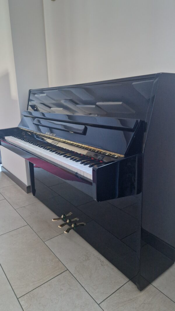 karl beyer 108cm occasion