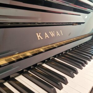 kawai bl61 occasion
