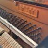 kawai bl61 occasion