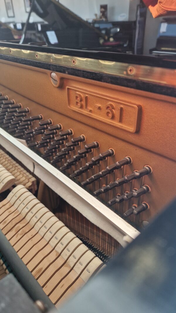 kawai bl61 occasion