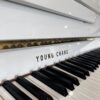young chang u 109 occasion