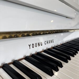 young chang u 109 occasion