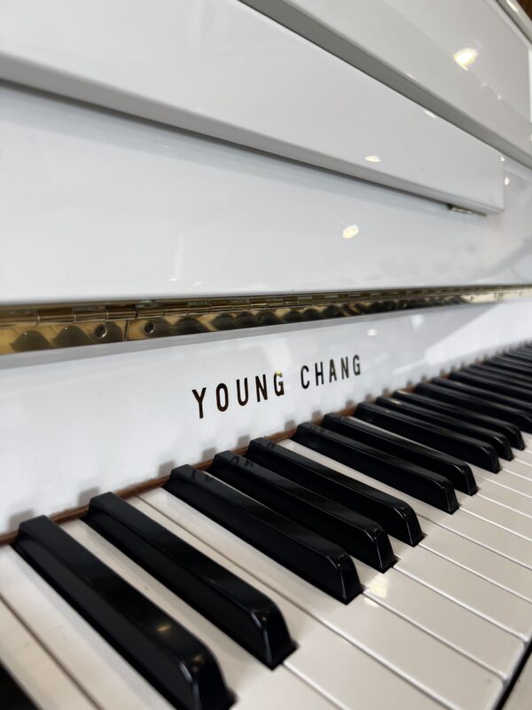 young chang u 109 occasion