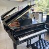 1/4 yamaha gc1 silent occasion