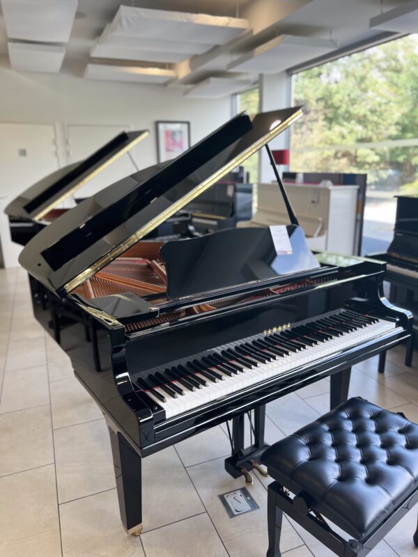 1/4 yamaha gc1 silent occasion