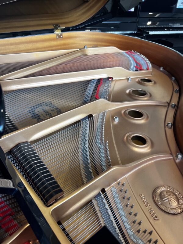 1/4 yamaha gc1 silent occasion