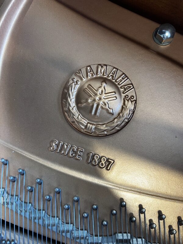 1/4 yamaha gc1 silent occasion
