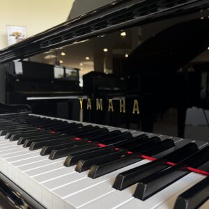1/4 yamaha gc1 silent occasion