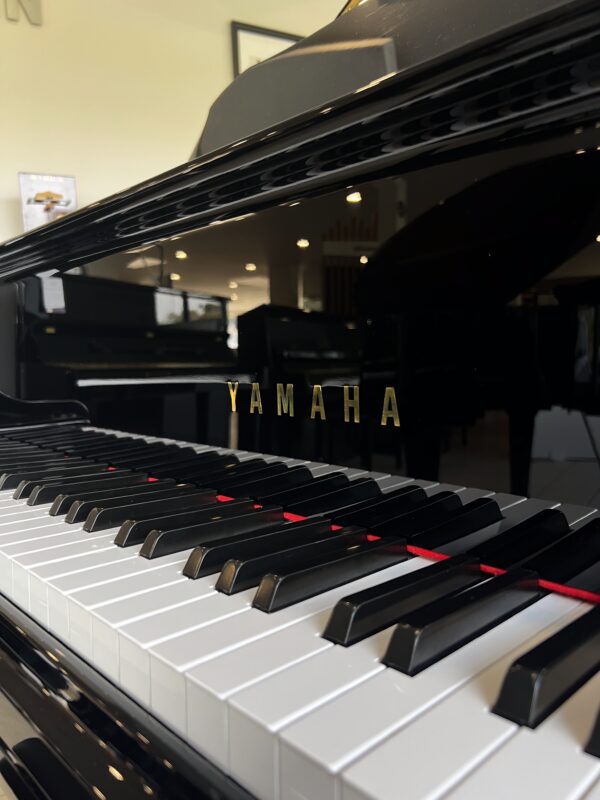 1/4 yamaha gc1 silent occasion