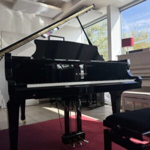 1/4 de queue kawai rx 2 occasion