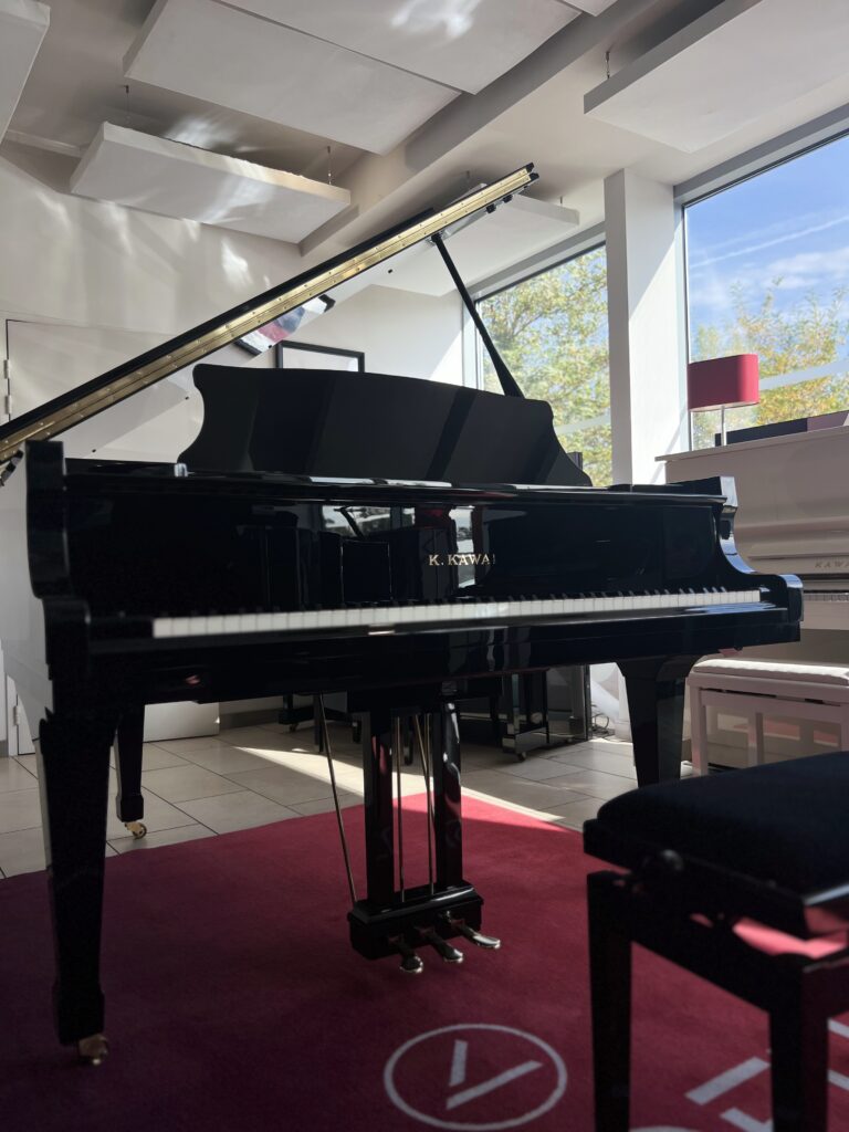 1/4 de queue kawai rx 2 occasion