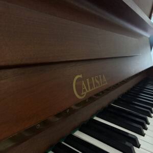 piano droit calisia 118 occasion